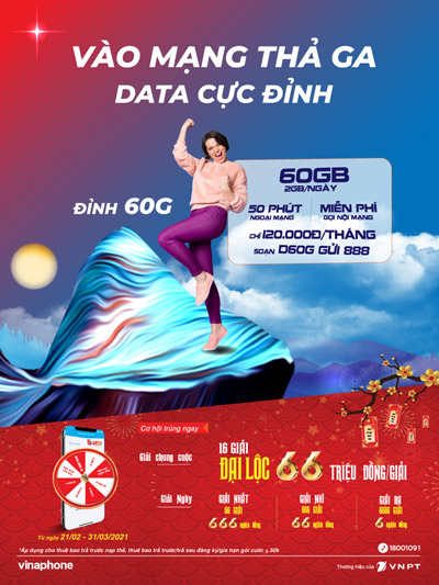 gói đinh 60G vinaphone
