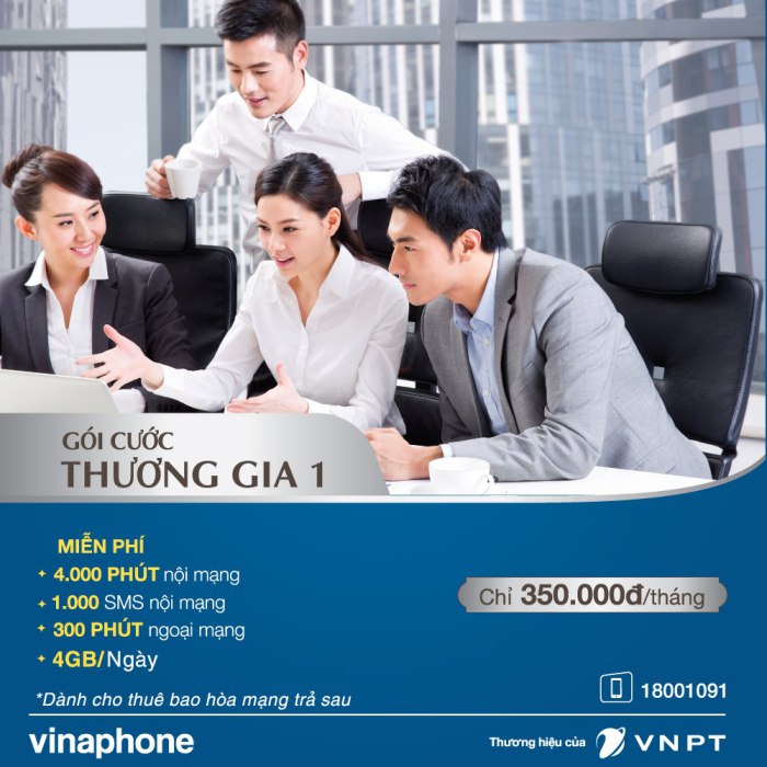 gói thương gia 1 Vinaphone 