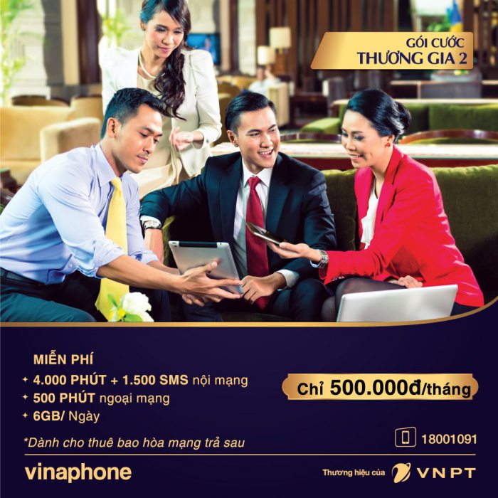 gói cước thương gia 2 Vinaphone