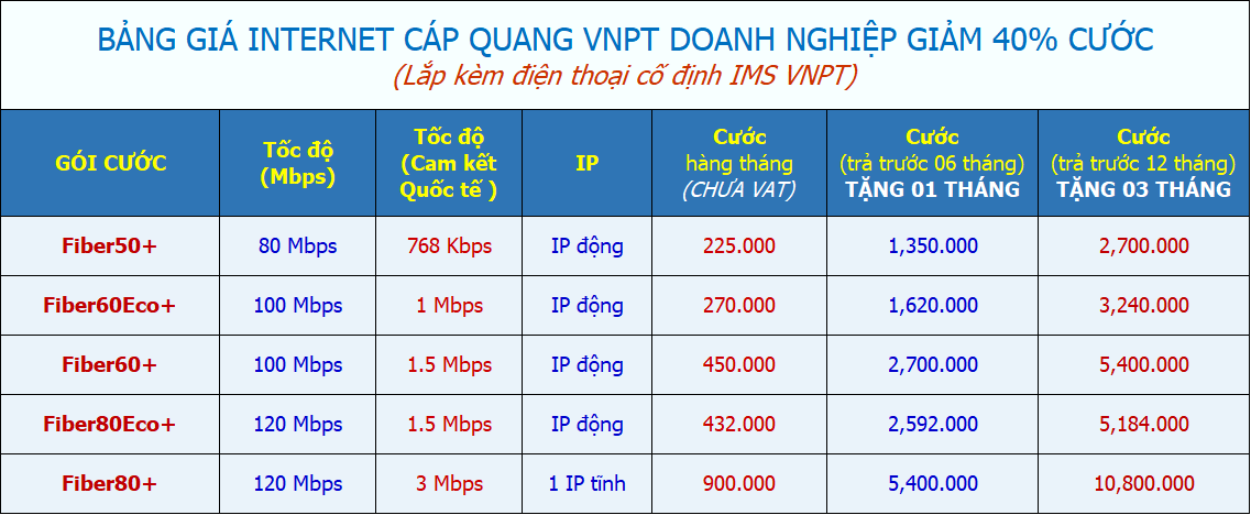 lắp internet cho doanh nghiệp tại tphcm 