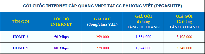 Lắp Internet giá rẻ tại chung cư Pegasuite