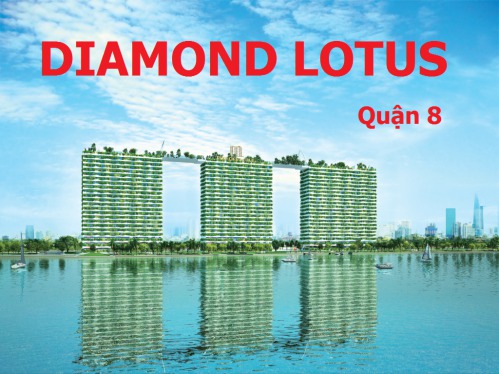 Lắp đặt internet cáp quang VNPT chung cư, căn hộ Diamond Lotus Quận 8