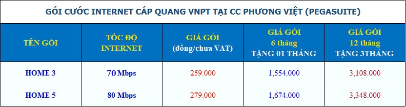 lắp mạng vnpt tại chung cư Phương Việt Quận 8