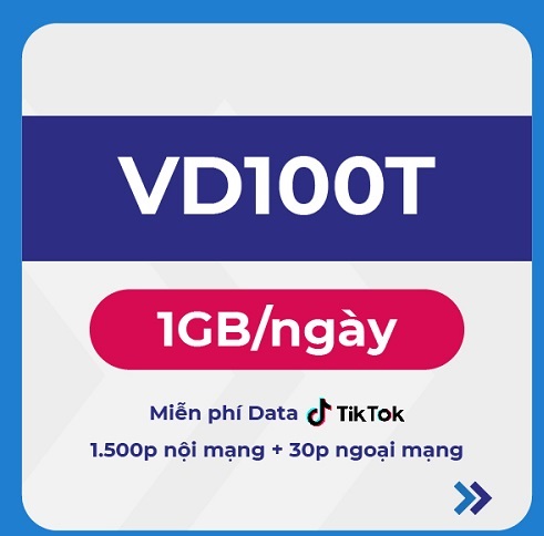 Mua Sim Kèm Gói VD100T Vinaphone Miễn Phí Data Truy Cập TikTok